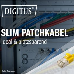 Slim Patchkabel von Assmann