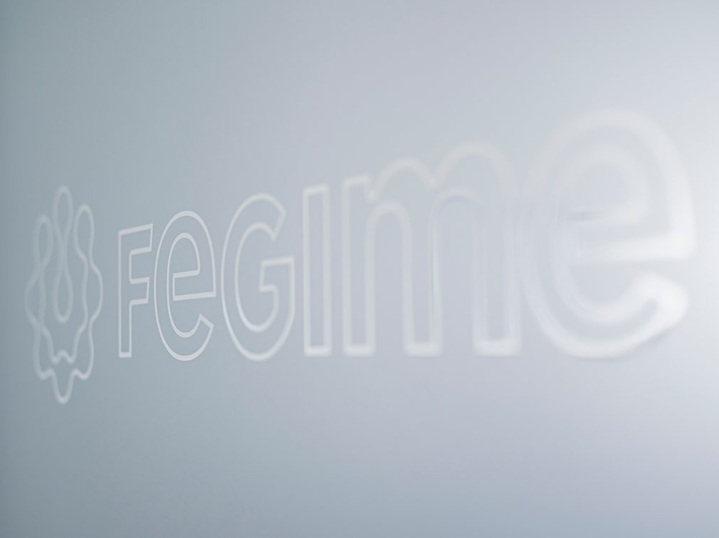 FEGIME-Logo Empfang