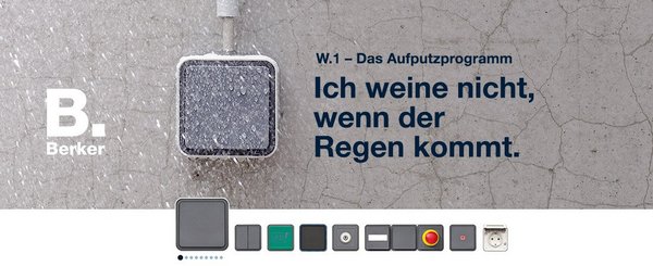 Berker W1 von Hager