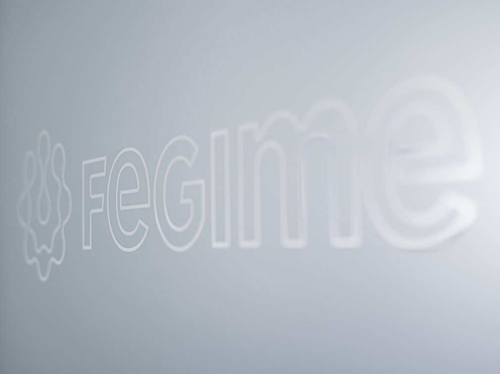 FEGIME-Logo Empfang