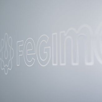 FEGIME-Logo Empfang